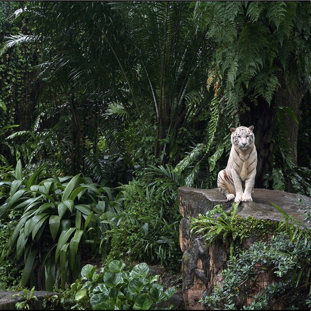 Meet your Posher, Natalia